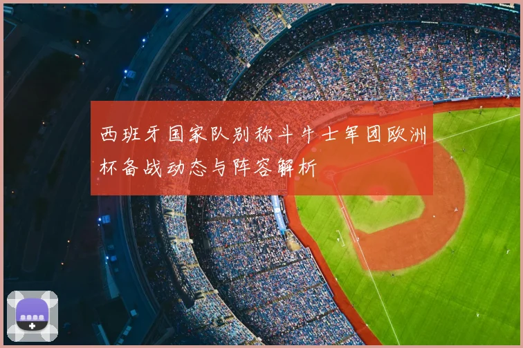 西班牙国家队别称斗牛士军团欧洲杯备战动态与阵容解析