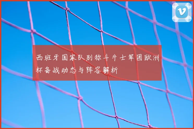西班牙国家队别称斗牛士军团欧洲杯备战动态与阵容解析